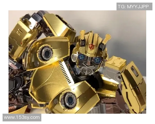 低沉的黄蜂，现已凑齐了重建拼图？